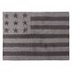 American Flag Rug in Grey