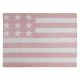 American Flag Rug in Pink