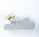 Grey Cloud Shelf 