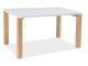 EGON Solid Oak Wooden Table