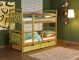 Children's Bunk Bed in Wood & Lime